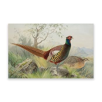 絵画　海外輸入　キャンパス生地 Amazon｜アーチボルド・ソーバーン「キジ」キャンバス絵画の複製