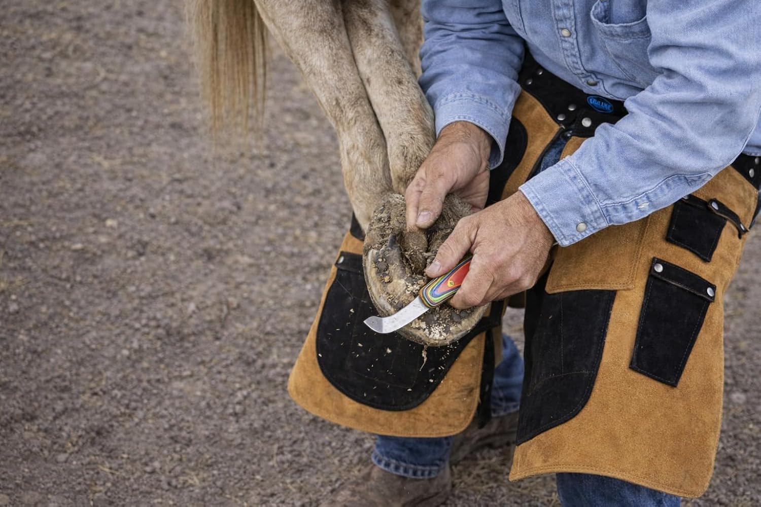 CHALLENGER Horse Farrier Tool 3-Piece Horse Equine Farrier Hoof Grooming Shoe Care Tool Kit w/Carry Bag 984142