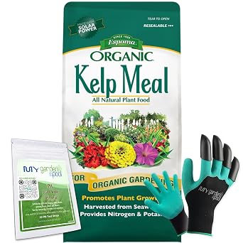 Espoma Organic Kelp Meal 1-0-2 Plant Food and Soil Conditioner; Natural Cold-Water Seaweed from The Atlantic Ocean. 4 lb with My Garden Pool PH Soil Test Strips 20 ct, and Gardening Claw Gloves