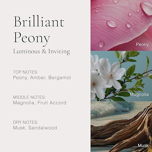 Miniatura 5 de CLEAN H2EAU Fragrance Discovery Gift Set, Travel Mini Size, Water-Based Layerable Daily Perfume, Cruelty-Free, Ethyl Alcohol, Phthalate & Paraben