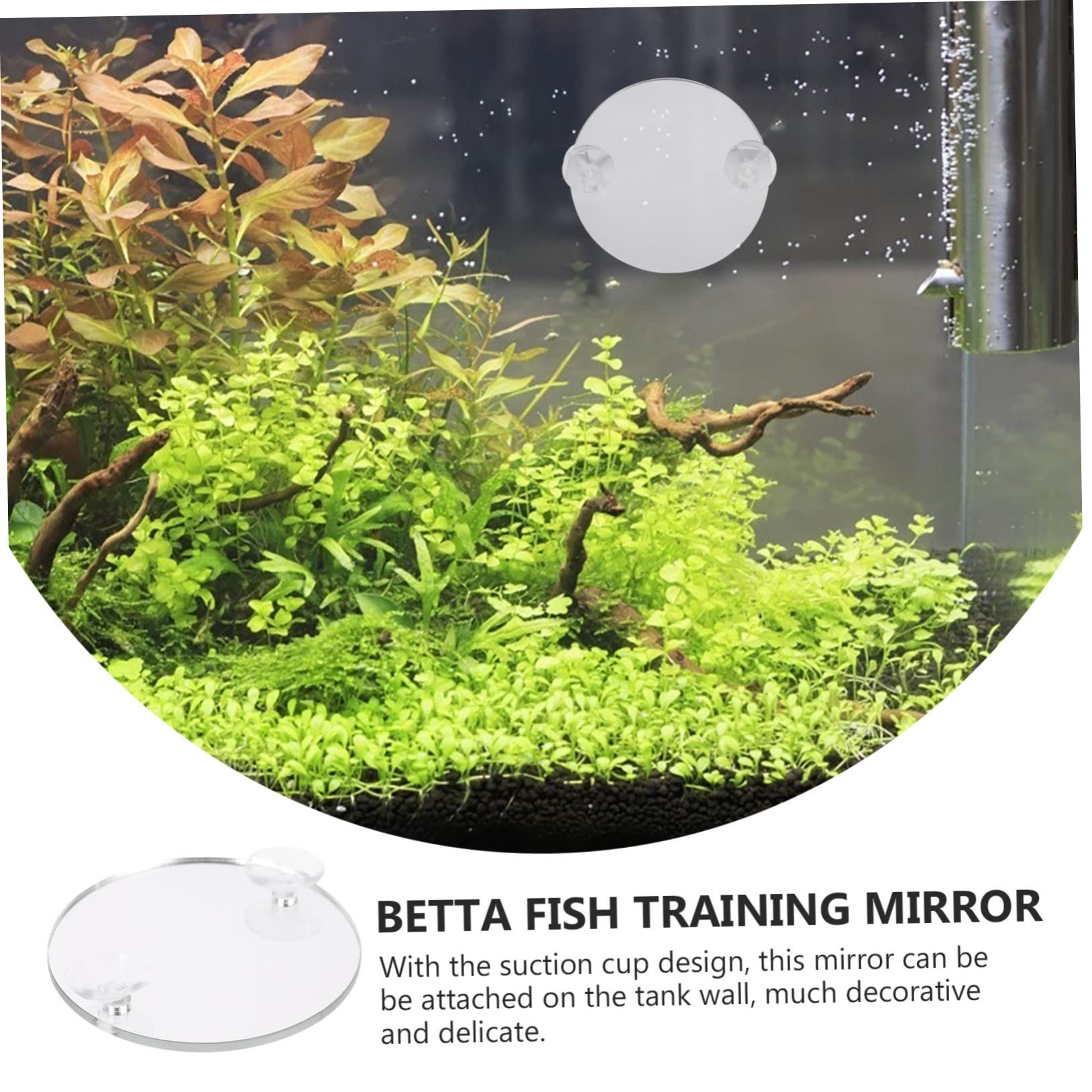 Mipcase 30piezas Espejo De Acuario para Betta Ventosa De Decorativas para Peceras Espejos Entrenadores para Betta Accesorios para Acuarios De Agua Dulce y Salada