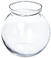 Algopix Similar Product 1 - ANCHOK AH 4" Round Glass Ivy Bowl