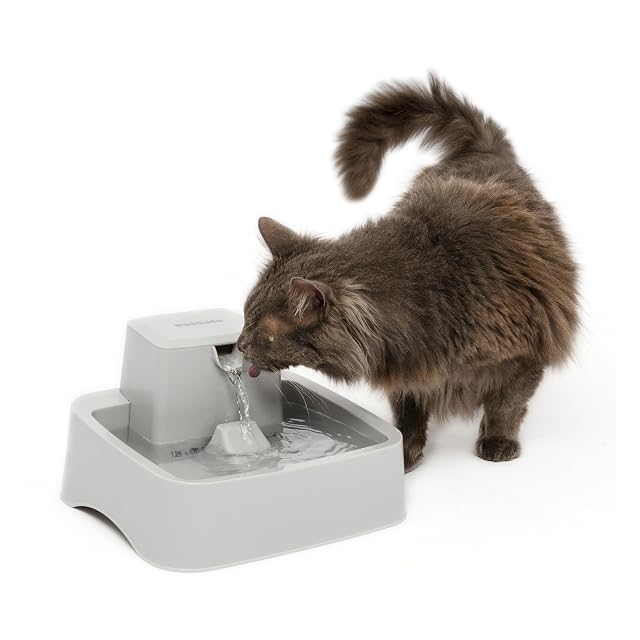 PetSafe Drinkwell Fuente para Mascotas, 1,9L