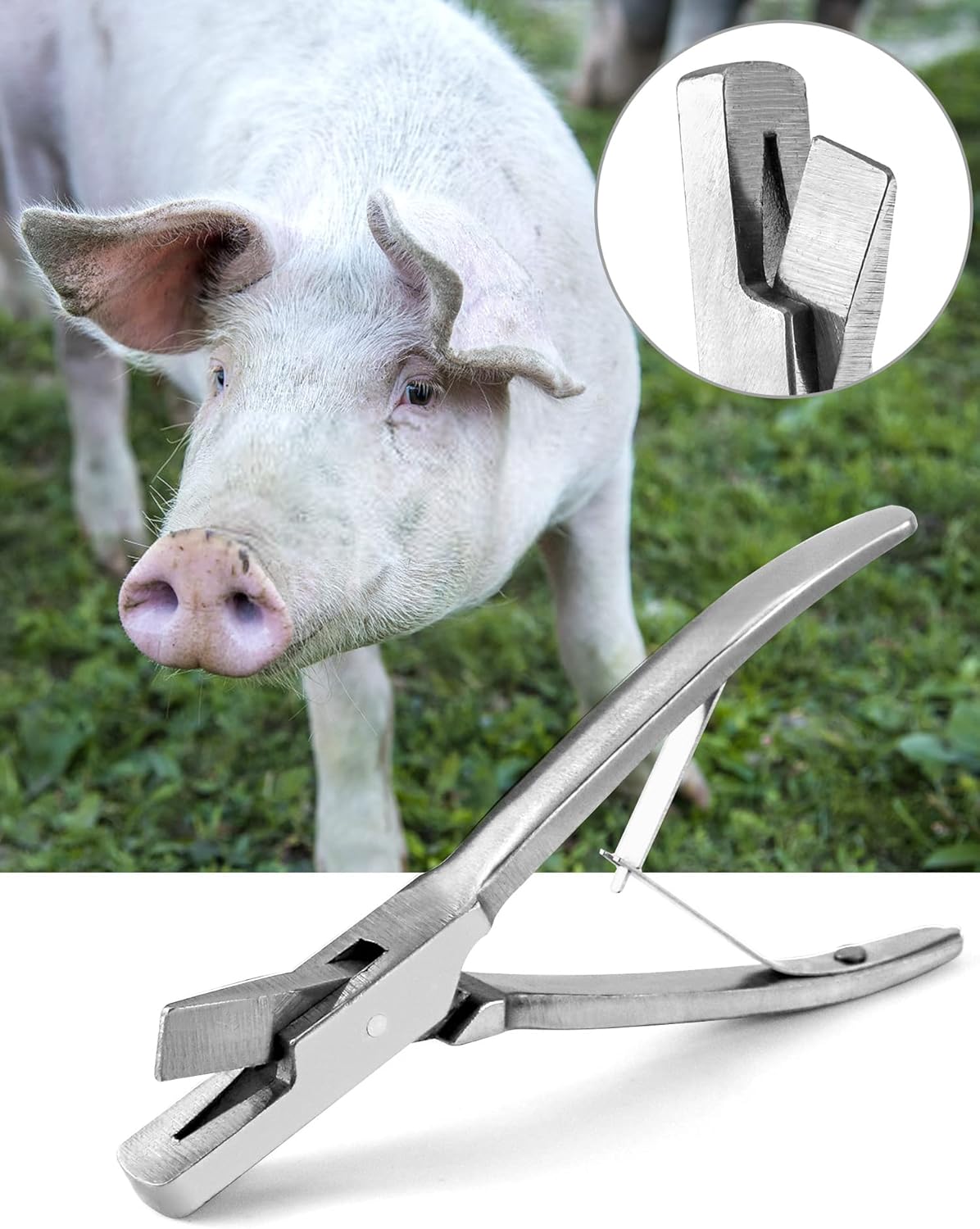 QWORK Pig Ear Tag Pliers, 1 Pack Stainless Steel Animal Identify Tool for Pig Equipment Farm Animals