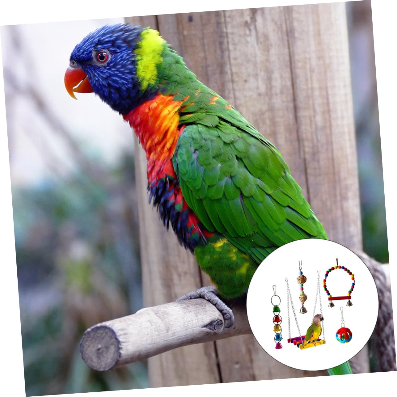5 pièces Jouets à Mordre pour Perroquets Jouets pour Oiseaux Accessoires de Jeu Colorés pour Oiseaux à Mâcher