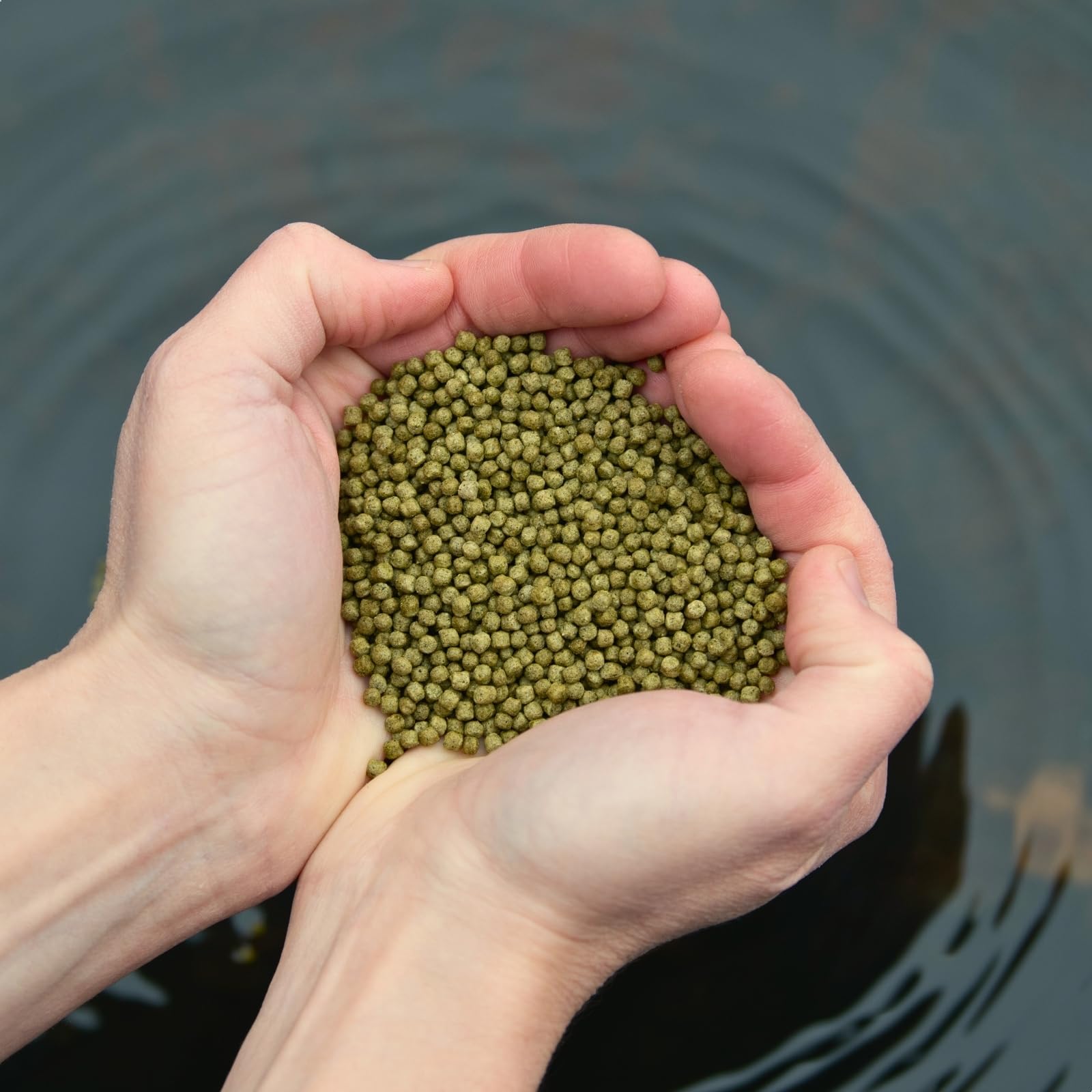Lyra Pond® 2 x 10 L (7,36 kg) Koi Beauty Pellets Staple Poissons Bassin | Intensifie les couleurs des poissons | Riche en protéines, farine d’insectes & spiruline | Faible énergie