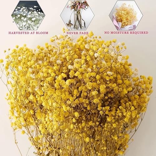 Miniatura 5 de Ramo de flores secas para bebés de 17.2 pulgadas, más de 2500 flores, gypsophila natural, flores secas a granel para decoración del hogar, boda,