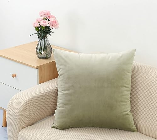 Miniatura 9 de TangDepot Juego de 2 fundas de almohada de terciopelo súper suaves, fundas de almohada europeas (24 x 24 pulgadas, 2 piezas, A02 azul)