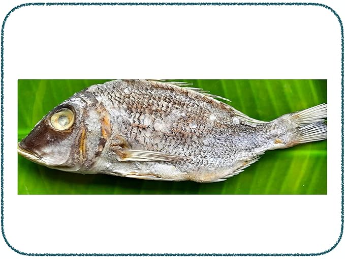 Lemurian's Rameswaram Special Sun Dried Premium Emperor Fish | Vilai meen | ? - 400g