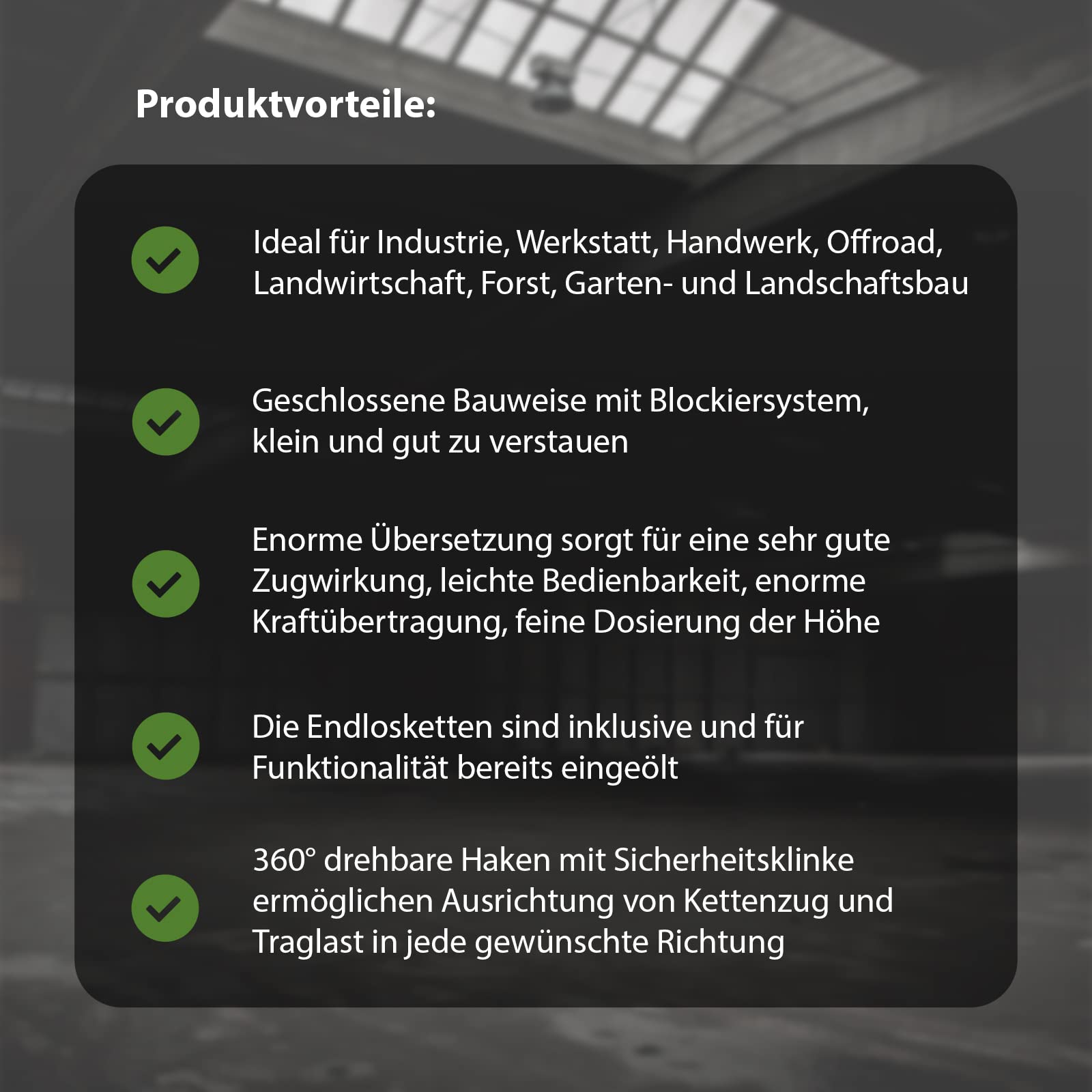 TRUTZHOLM Kettenzug mit Einfachbremse Flaschenzug Seilzug Hebezug Ratschenzug Hubhöhe - HSZ - rund (3000 kg - 3 m)