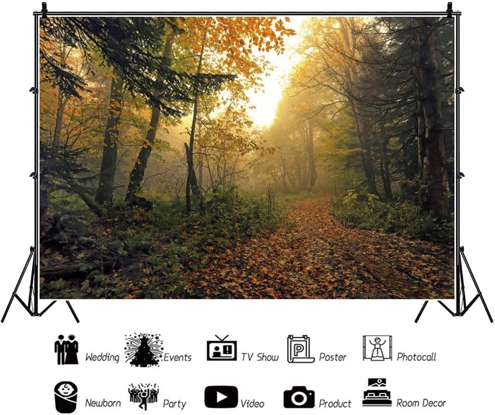 Szzwy 5x3ft Autumn Backdrop Fallen Trees Background For Photography Autumn Forest Path Fallen Leaves Road Fog Natural Scenery Interior Decor Wall Art Adults Kids Portraits Polyester Wallpaper Electronics Camera Photo Accessories