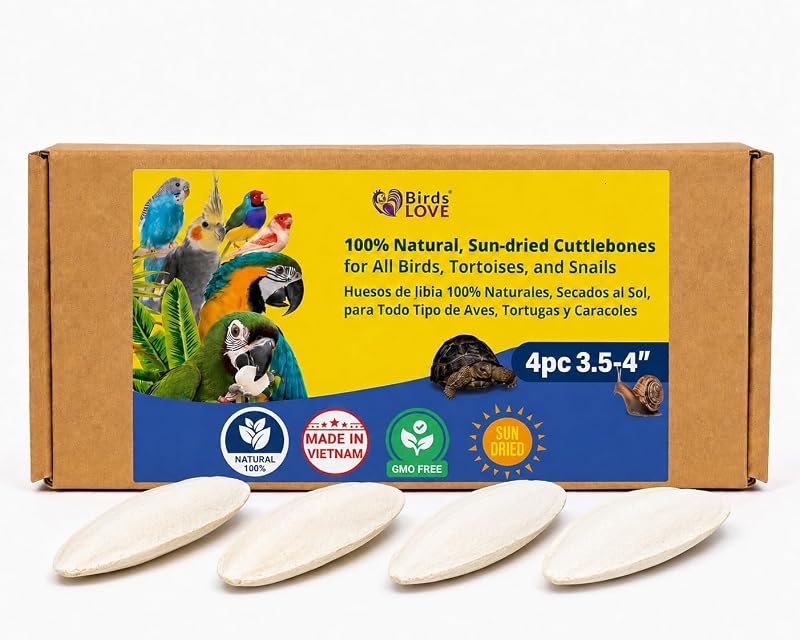 Osso de Siba para Aves Birds LOVE com Suporte e Cálcio Natural, 8,89–10,16 cm, Pacote com 4