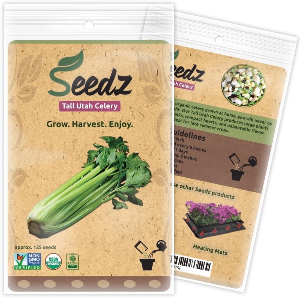 Organic Celery Seeds, APPR. 125, Tall Utah Celery, Heirloom Vegetable Seeds, Certified Organic, Non GMO, Non Hybrid, USA