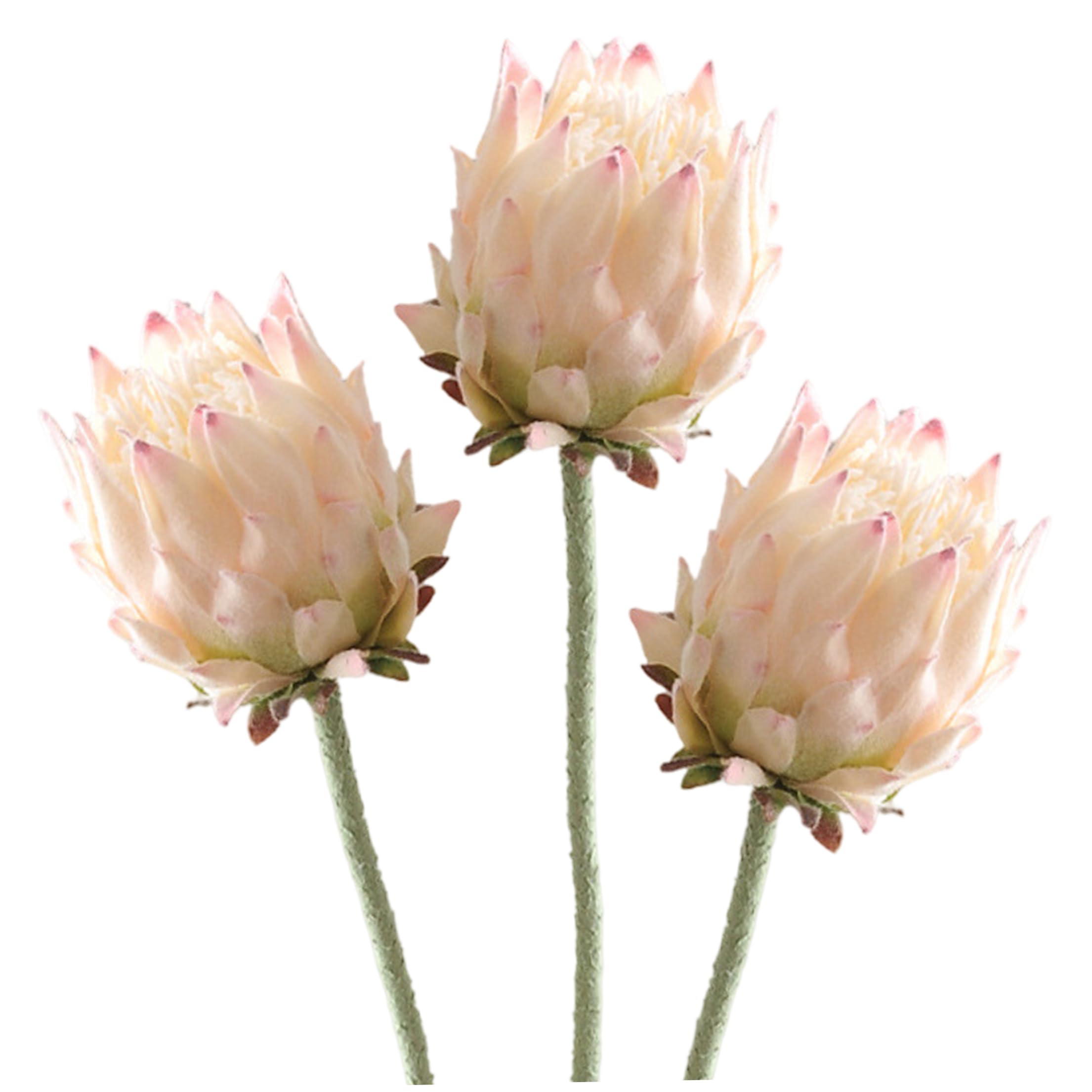 Fleurs protéa artificielles, 3 pièces fleurs tropicales fausse fleur vase
