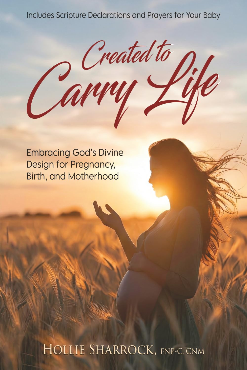 Created to Carry Life: Embracing God’s Divine Design for Pregnancy, Birth, and Motherhood