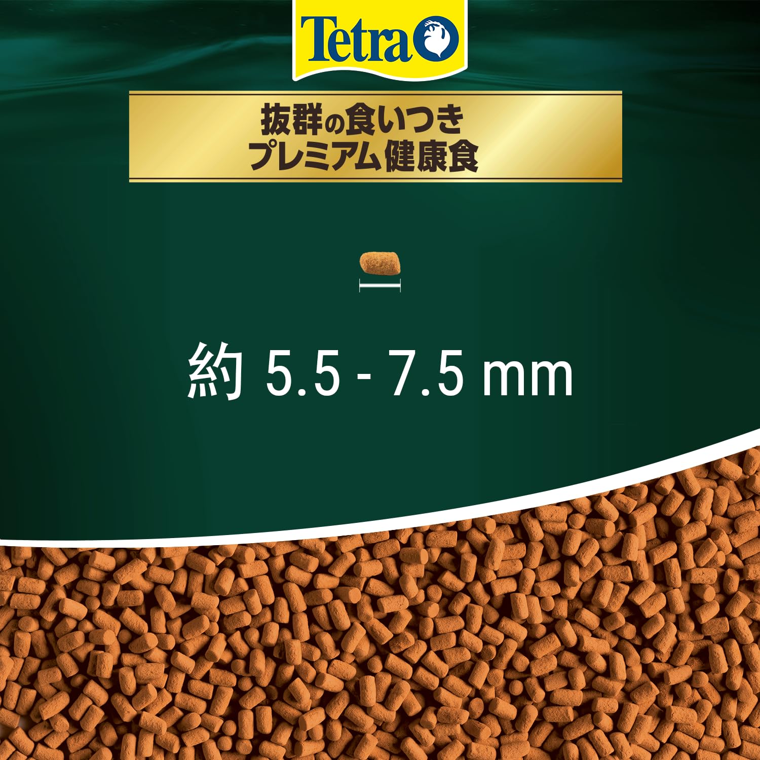 Amazon | テトラ (Tetra) レプトミンスーパー中粒 160G 食いつき カメ