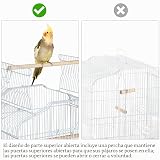 Ver la foto 7