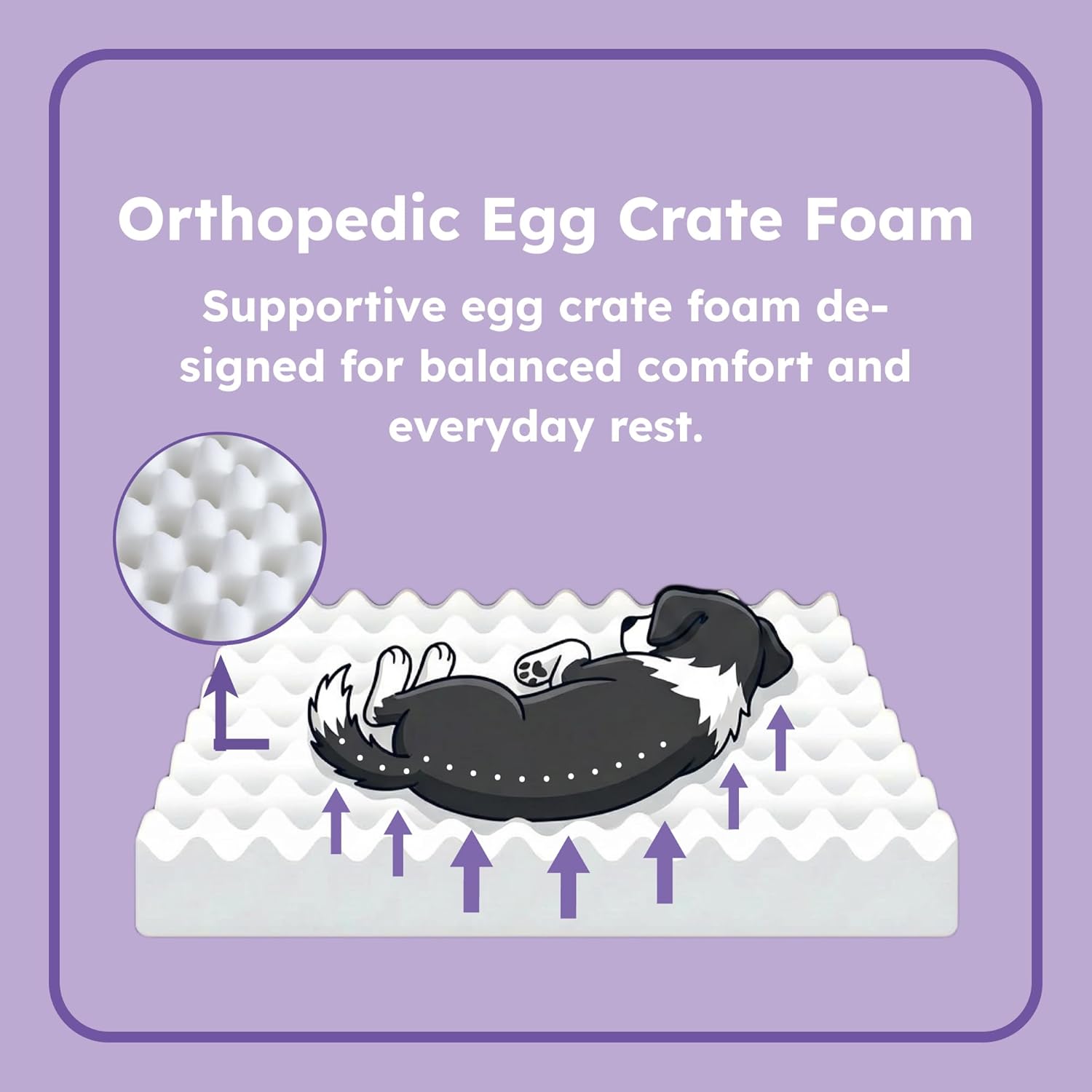 Elevated Dog Bed and Luxury Mattress with Removable Washable Cover, Egg Crate Foam, Wooden Frame, Suitable for Pet Up to 95 lbs, Naturalwood, XL