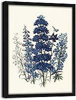 Framed Vintage Delphinium Botanical Wall Art by Jane Loudon - 12x16 Inch Canvas Print, Retro Floral Decor for Living Room Bedroom