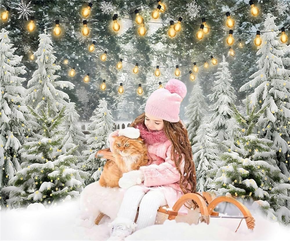 Winter Backdrop 12x10ft Wooden Fence Snowflakes Snowy Forest Winter Wonderland Photo Backdrop Christmas Photography Background Xmas Photo Props New Years Navidad Holiday Decorations