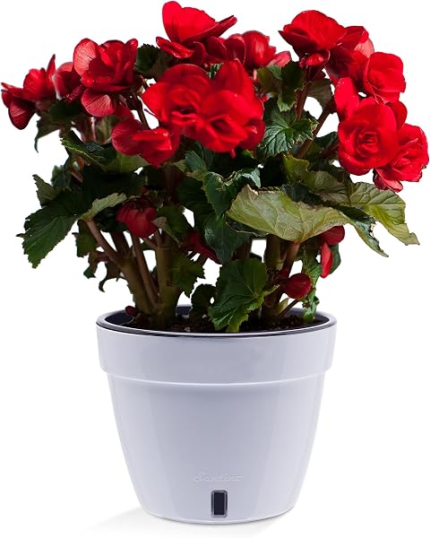 Santino Selbstbewässernder Blumentopf mit Wasserstandsanzeige für innen. Asti D 27cm.White-Black, 9L - 4