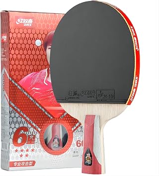 DOUBLE HAPPINESS DHS Ping Pong Table Tennis Paddle,Professional Racket with Carrying Case for Tournament Play