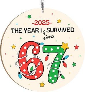 67 Christmas Ornament, 67 Ornaments for Christmas Tree | Wooden, 4", Gift-Ready Box, Durable