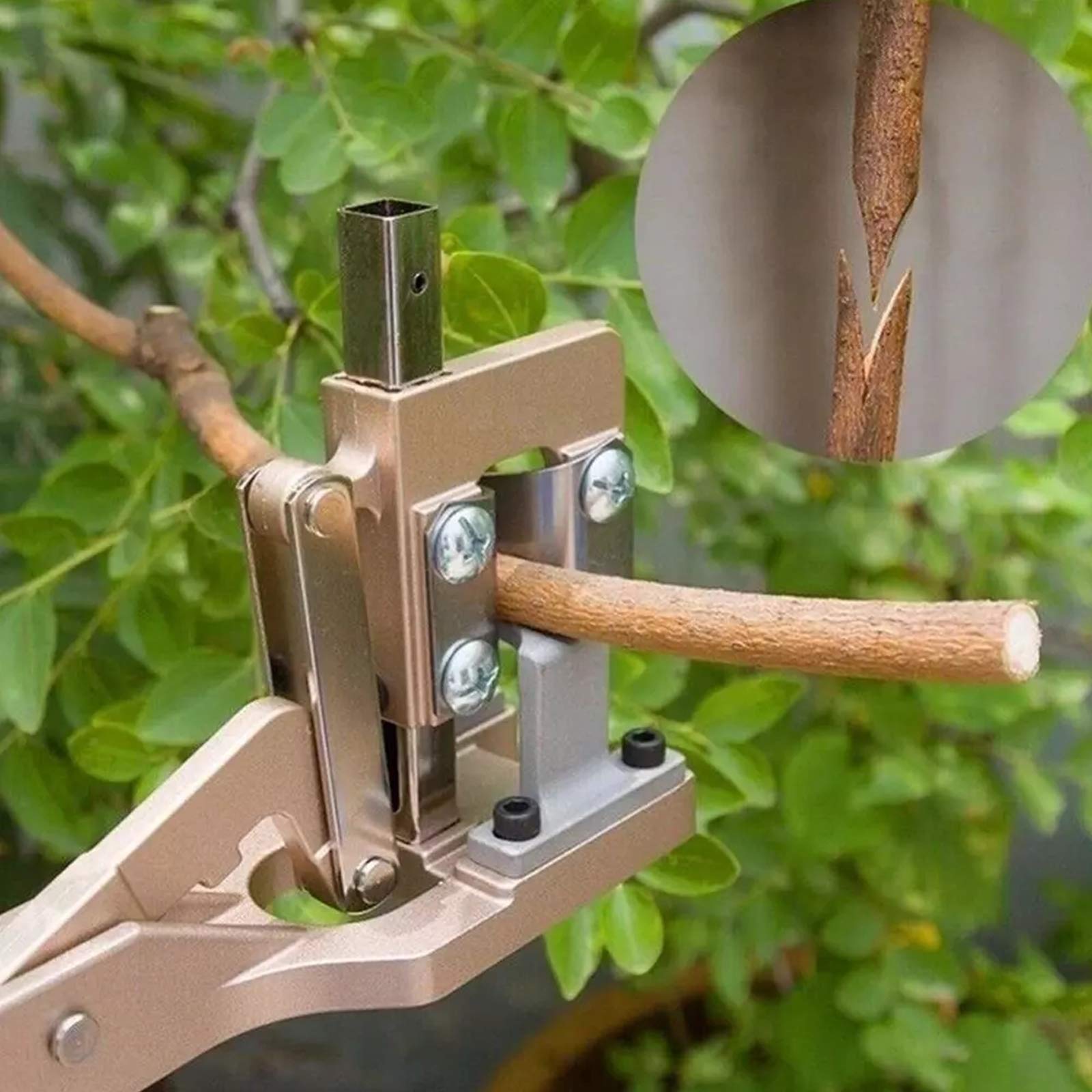 Garten Obstbaum Pfropfschere, Veredelungsschere Ratschenschere, Professionelle V-Share Pfropfen Schneidwerkzeug, Pfropfmesser Gartenwerkzeug Zum Pfropfen Von Obstbäumen Und Weinreben