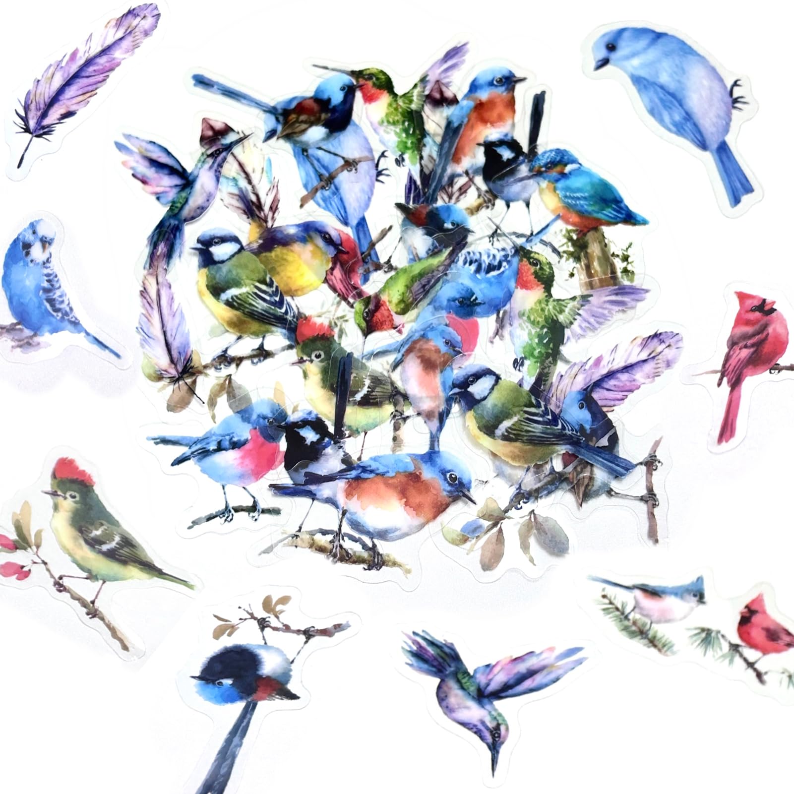 Transparent Bird Stickers for Scrapbooking,40pcs Scrapbook Accessories Self-Adhesive PET Waterproof Vintage Stickers for Adults,Scrapbook Supplies for Laptop,Card Making,Phone Case