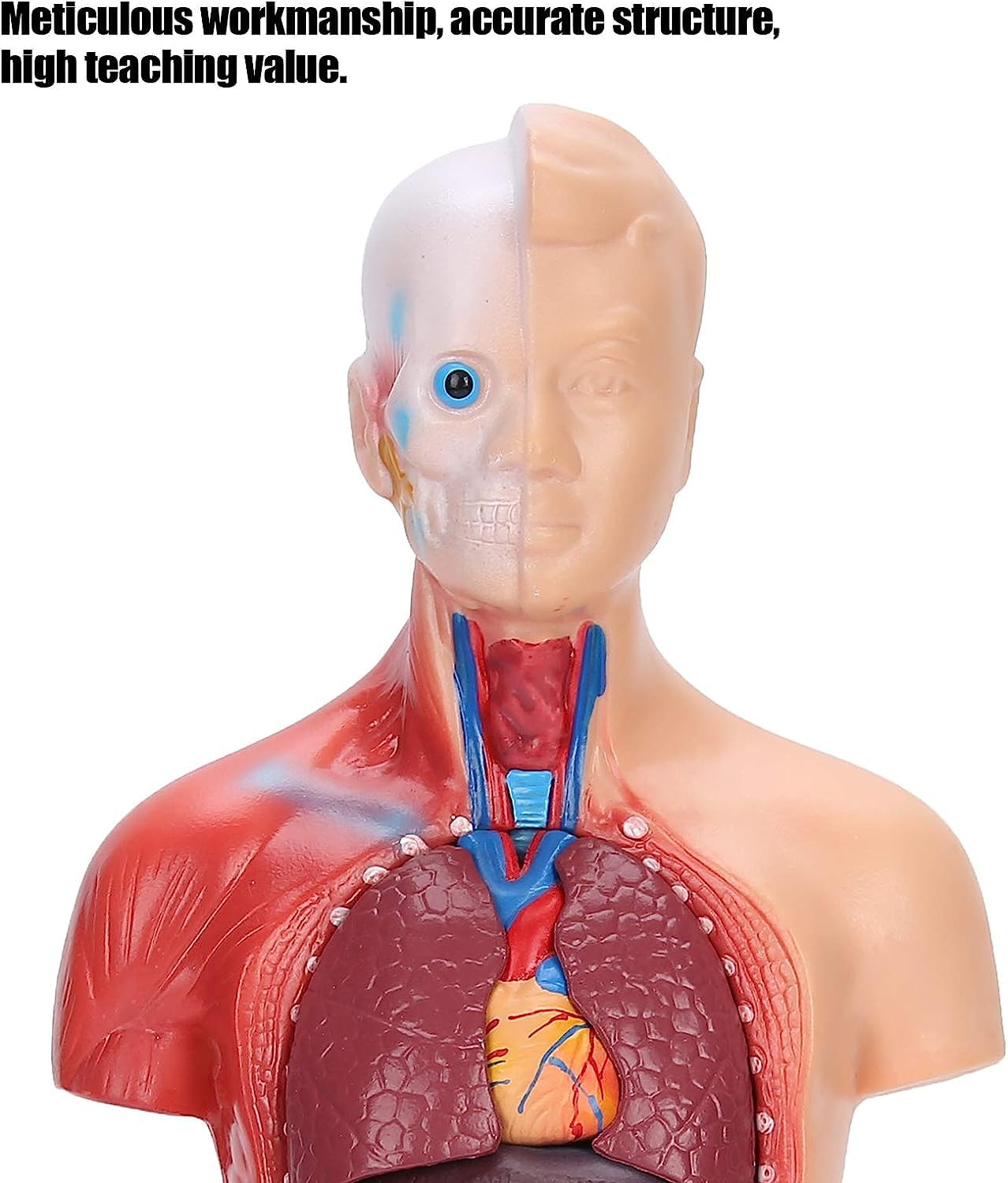 Schiena Con Il Tatuaggio | TikTok, image size:1278x1500