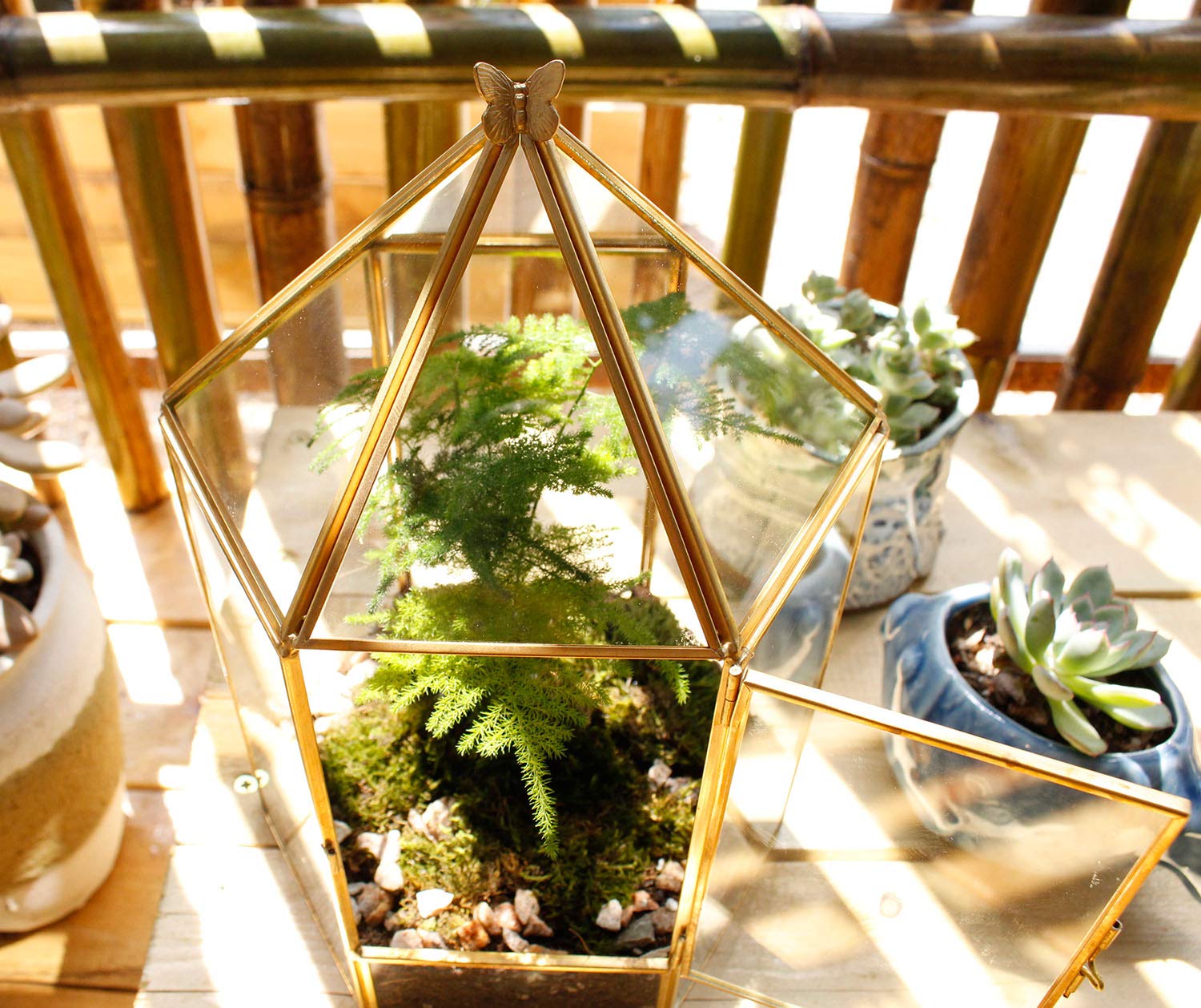 ELEGANTLIFE Terrario geometrico in vetro per piante, piante grasse e aeree, decorazione per casa, giardino, ufficio, senza piante (oro esagonale)