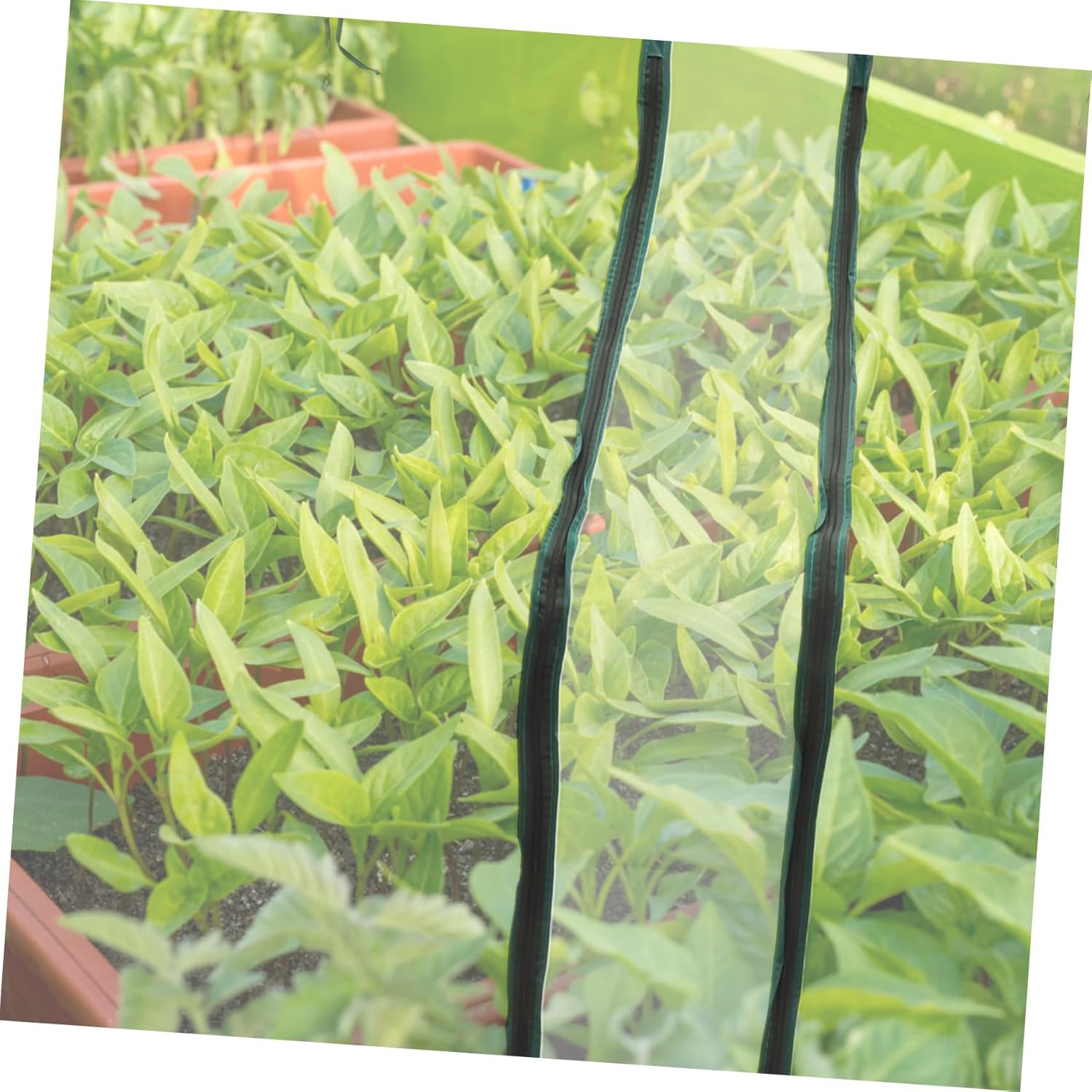 Mini Greenhouse Cover Roll-Up Zipper Door PVC Waterproof Replacement for Indoor/Outdoor Plants Rainproof and Insulated Floral Protective Cover