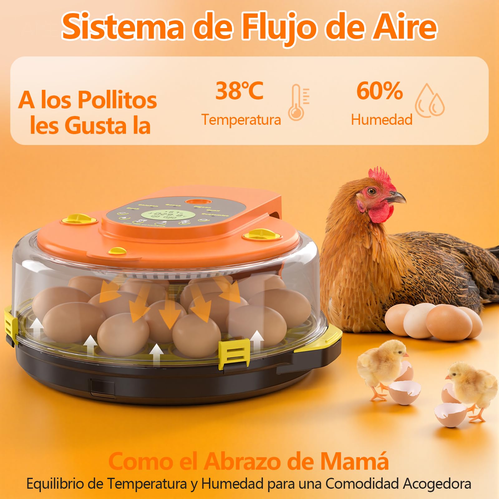 Incubadora Huevos Gallina, Diealles Shine Incubadoras de Huevos Automaticas de 15 Huevos con Volteo Automático de Huevos y Humidificación Automática, Incubadoras con Indicador de Humedad y Temperatura