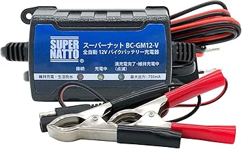 Super Natto Motorbike Charger