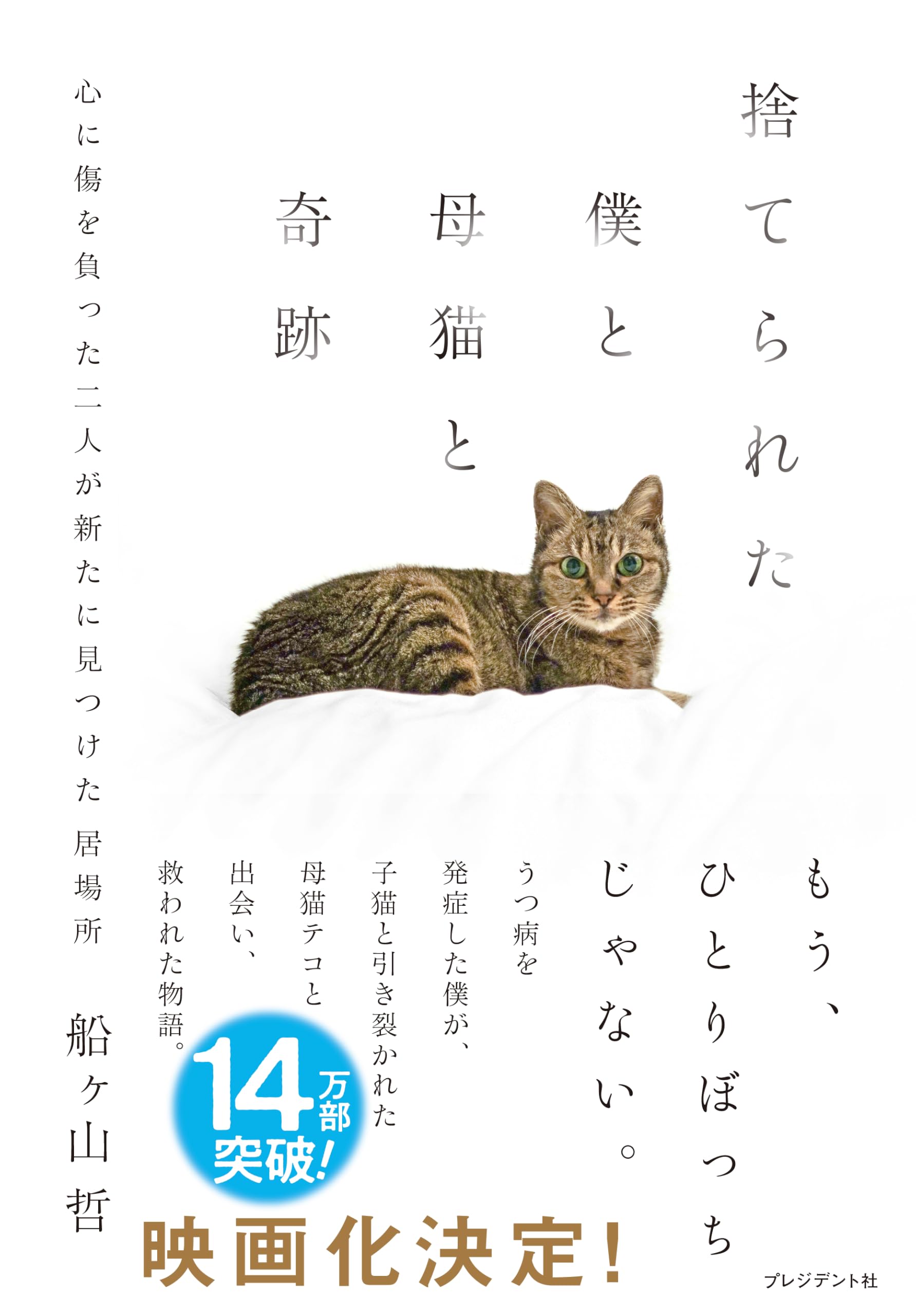 捨てられた僕と母猫と奇跡: 心に傷を負った二人が新たに見つけた居場所