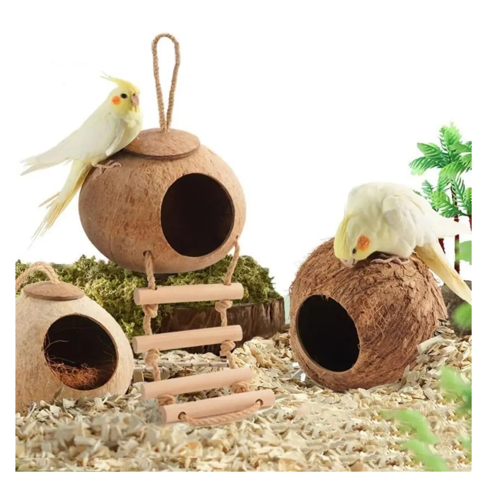 Nido de pájaro de Concha de Coco Jaula for pájaros de Coco Duradera y Transpirable con Escalera, escondite for Loros, Resistente a mordeduras hámster(-L-Rough Surface)
