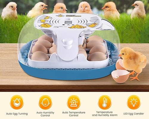 Miniatura 6 de Gpeng Incubadora de huevos, incubadora de 16 huevos con pantalla LED, giro automático de huevos, control automático de temperatura, vela de huevo,