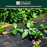 ANSIO Heavy Duty Weed Membrane 2m x 10m, Garden Weed Control Fabric - 2