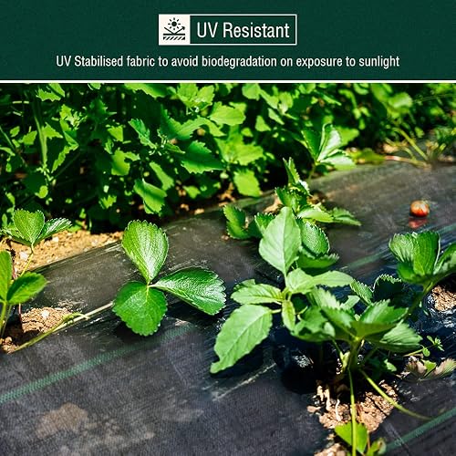 ANSIO Heavy Duty Weed Membrane 2m x 10m, Garden Weed Control Fabric - 2