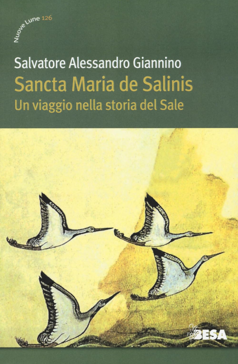 Sancta Maria De Salinis. Un Viaggio Nella Storia Del Sale - 4