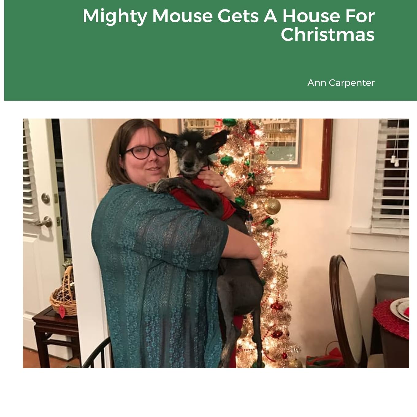 Mighty Mouse Gets A House For Christmas (Embrace Different Dogs)