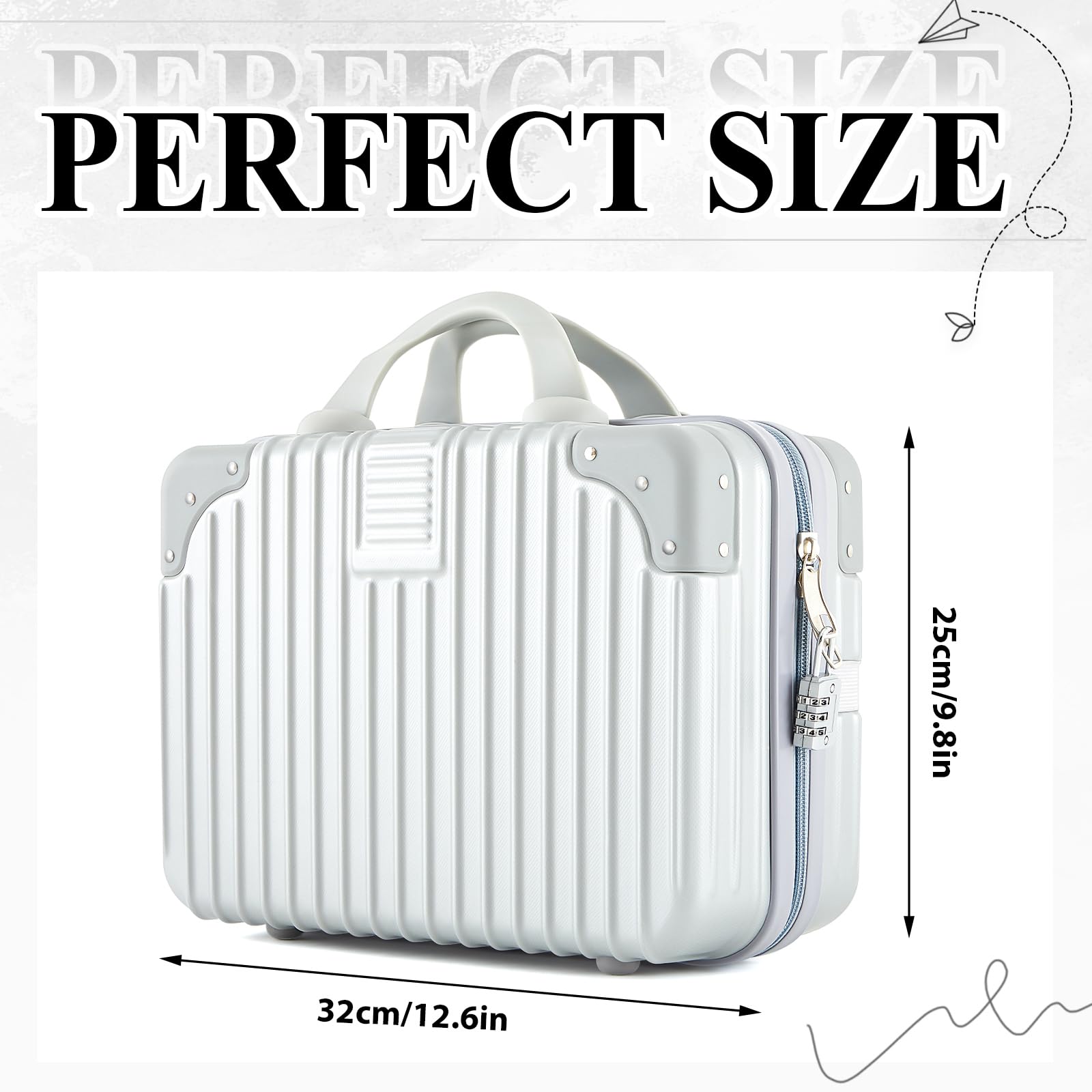 Amylove Discreet Lockable Storage Bag Box Organizer Storage Case with Lock for Women Men Lock Travel Bag,12.6 x 9.8 x 6.7in(Silver)