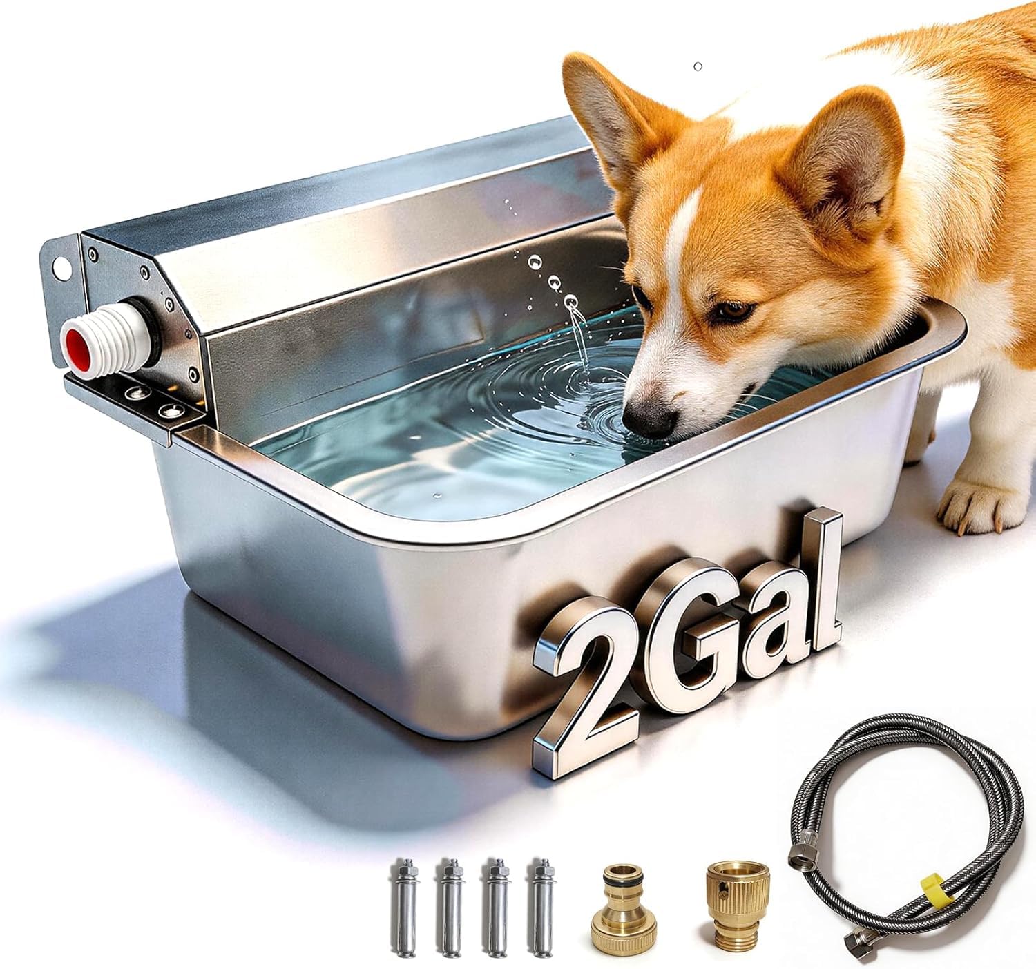 Distributeur d'eau Automatique pour Chien - 1.5 Gal/5.7 l - Intérieur/extérieur - Acier Inoxydable - Bétail, Animaux de Compagnie, Poulet