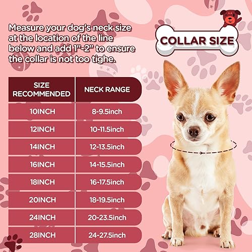 Miniatura 3 de Collar de cadena para perro con purpurina de 12 pulgadas, collar de oro rosa y plata con diamantes para perros, cadenas para perros cubanos y