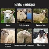 Ver la foto 7