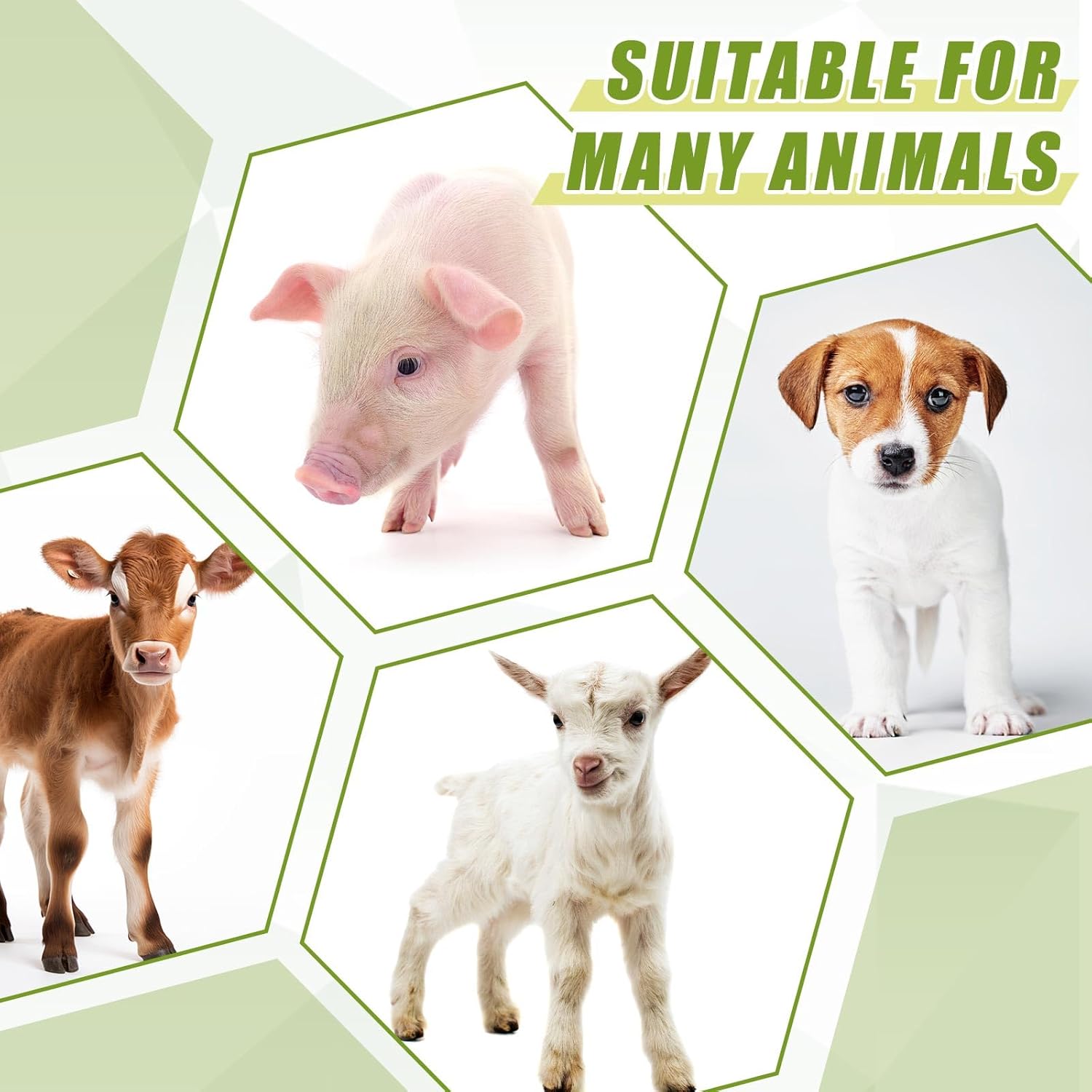 2 Pcs Lamb Milk Feed Bucket 8L High Capacity Plastic Goat Milk Feeding Bucket Multiple Nipples Animal Feeding Pot Green Lamb Feeder Bottle for Sheep Livestock Cattle Farm Animal(3 Mouths)