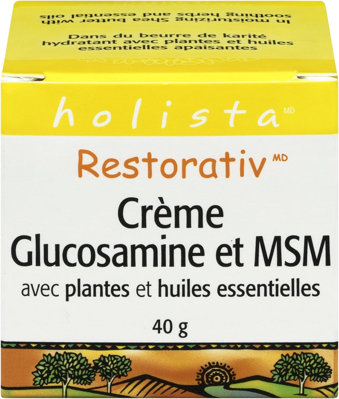 Holista Restorativ Glucosamine and MSM Cream With Herbs And Essential