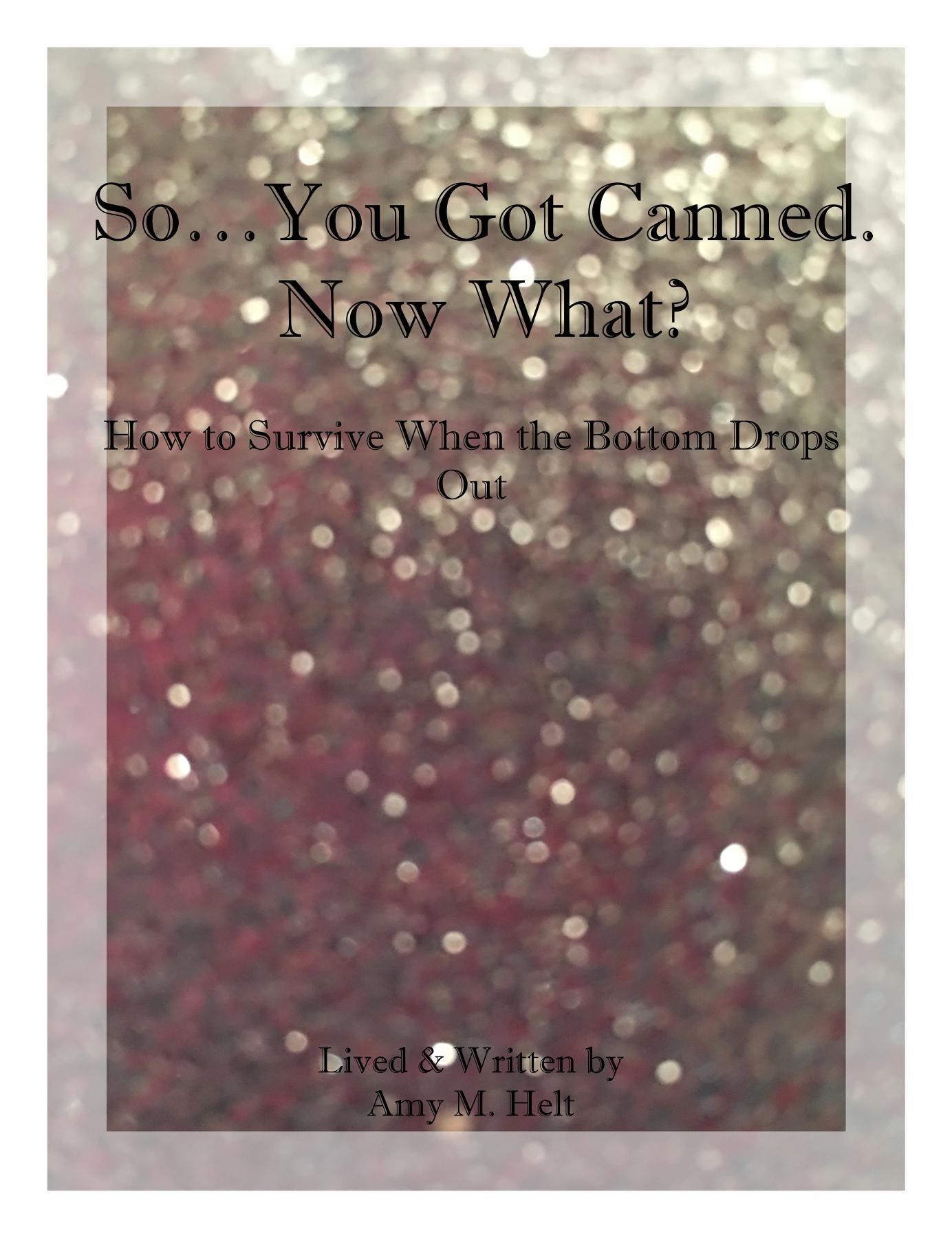 So...You Got Canned. Now What?: How to Survive When the Bottom Drops Out