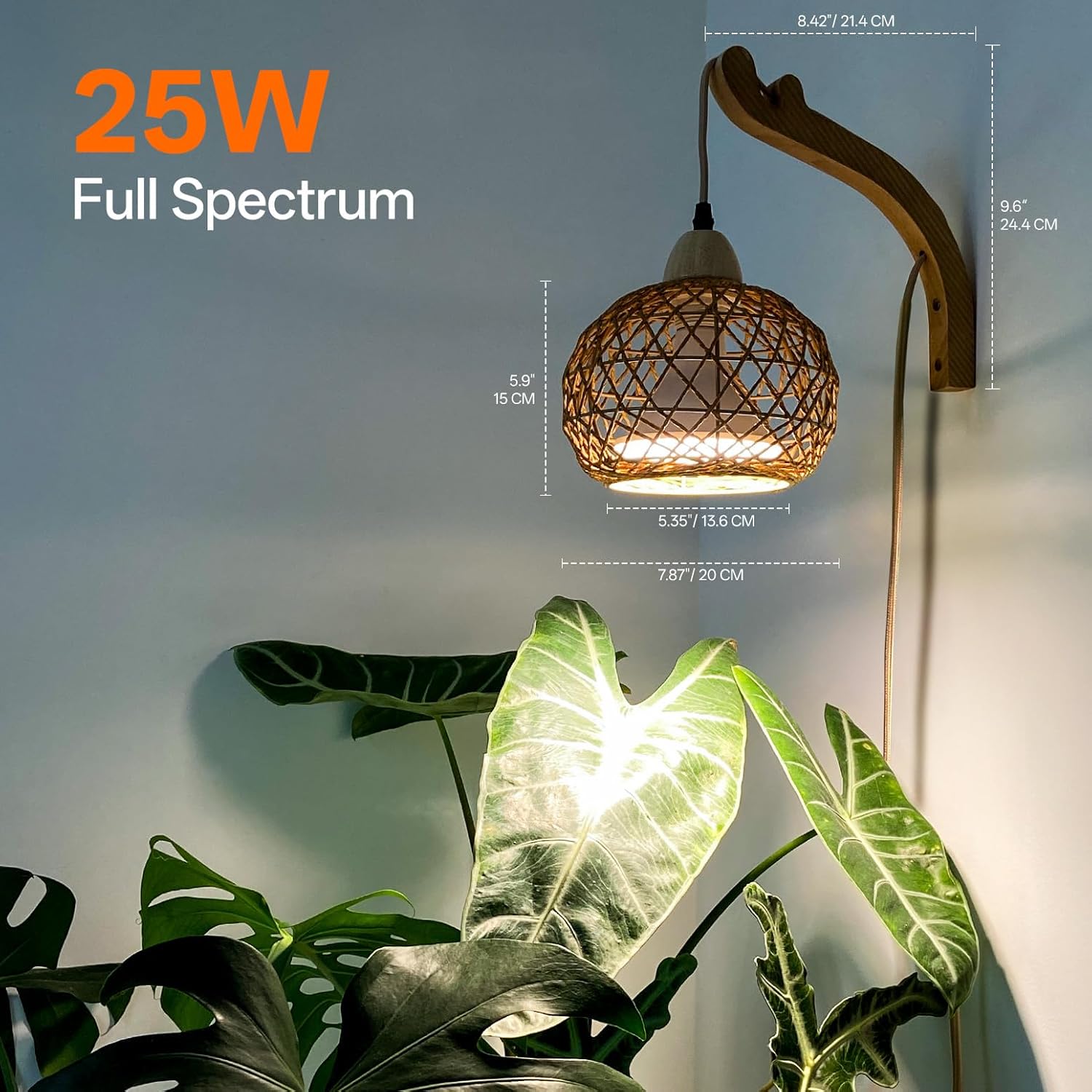 Bstrip Hanging Grow Lights for Indoor Plants, 18W Full Spectrum Plant Light, Boho Rattan Lantern Shade, 3800K Wall-Mounted Decorative Grow Light with 9.8FT Power Cord for Indoor Plant Growing, Flowers - Image 6