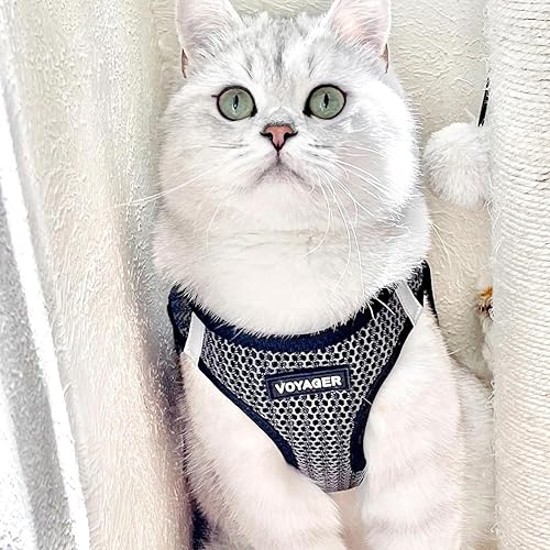 Miniatura 8 de Best Pet Supplies - Arnés de malla para todo tipo de clima, reflectante, antitirones, para perros y gatos pequeños y medianos, con cierre de velcro,